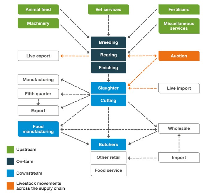 Diagram of the core components of the English red meat supply chain